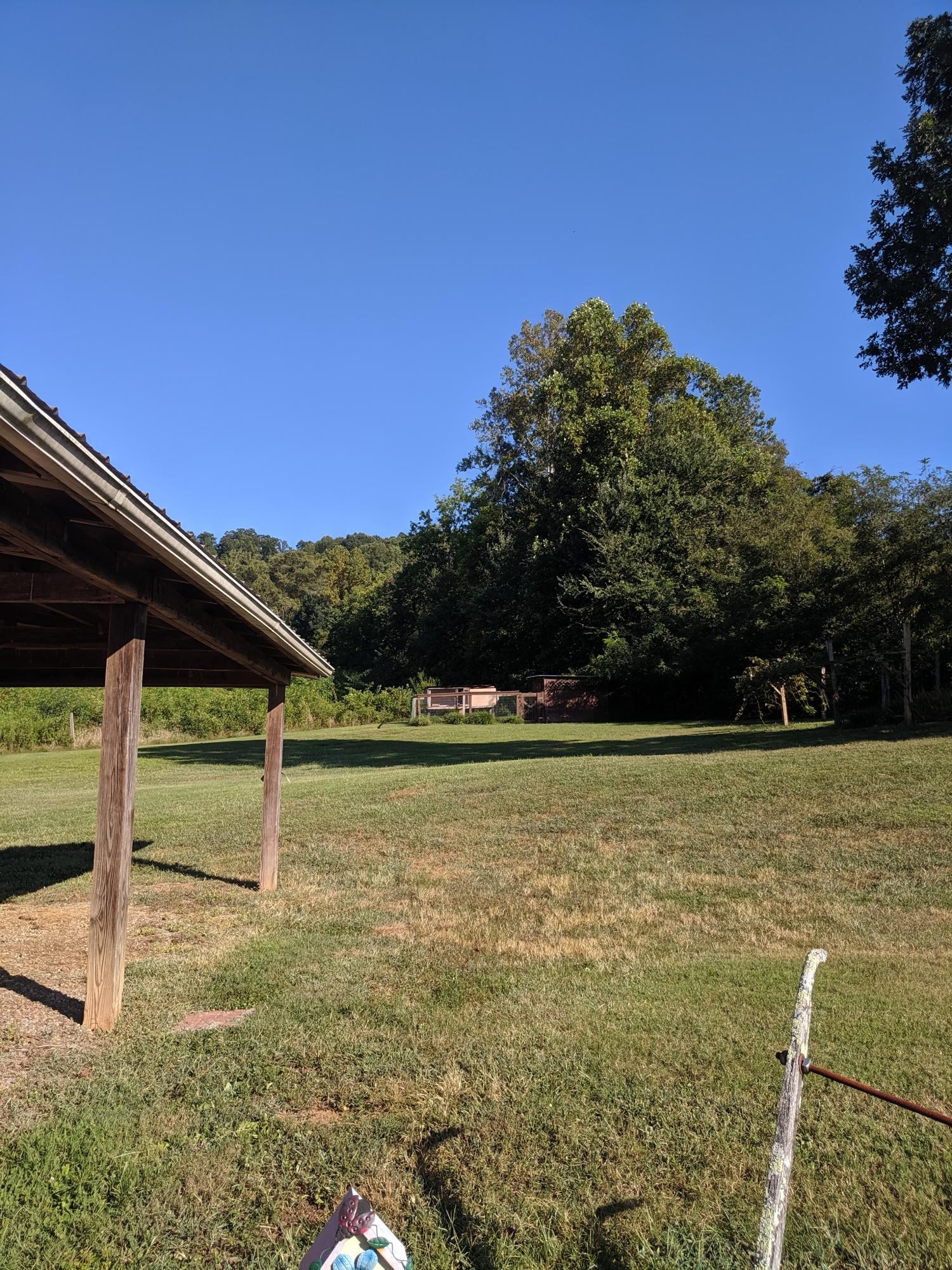 3691 Stockton Valley Road Loudon, TN 37774 - Photo 8 of 38 a view of a yard