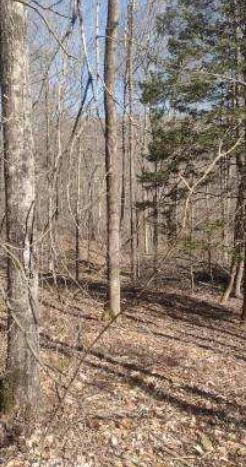 3 Pine Grove Road Beattyville, KY 41311 - Photo 5 of 17 7444FD60-529E-458D-A90B-C28A0814F372