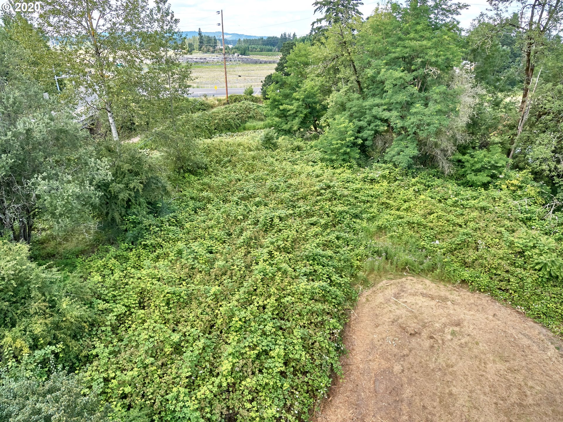 6480 South Arndt Road Canby, OR 97013 - Photo 15 of 29 Gallery Image 15