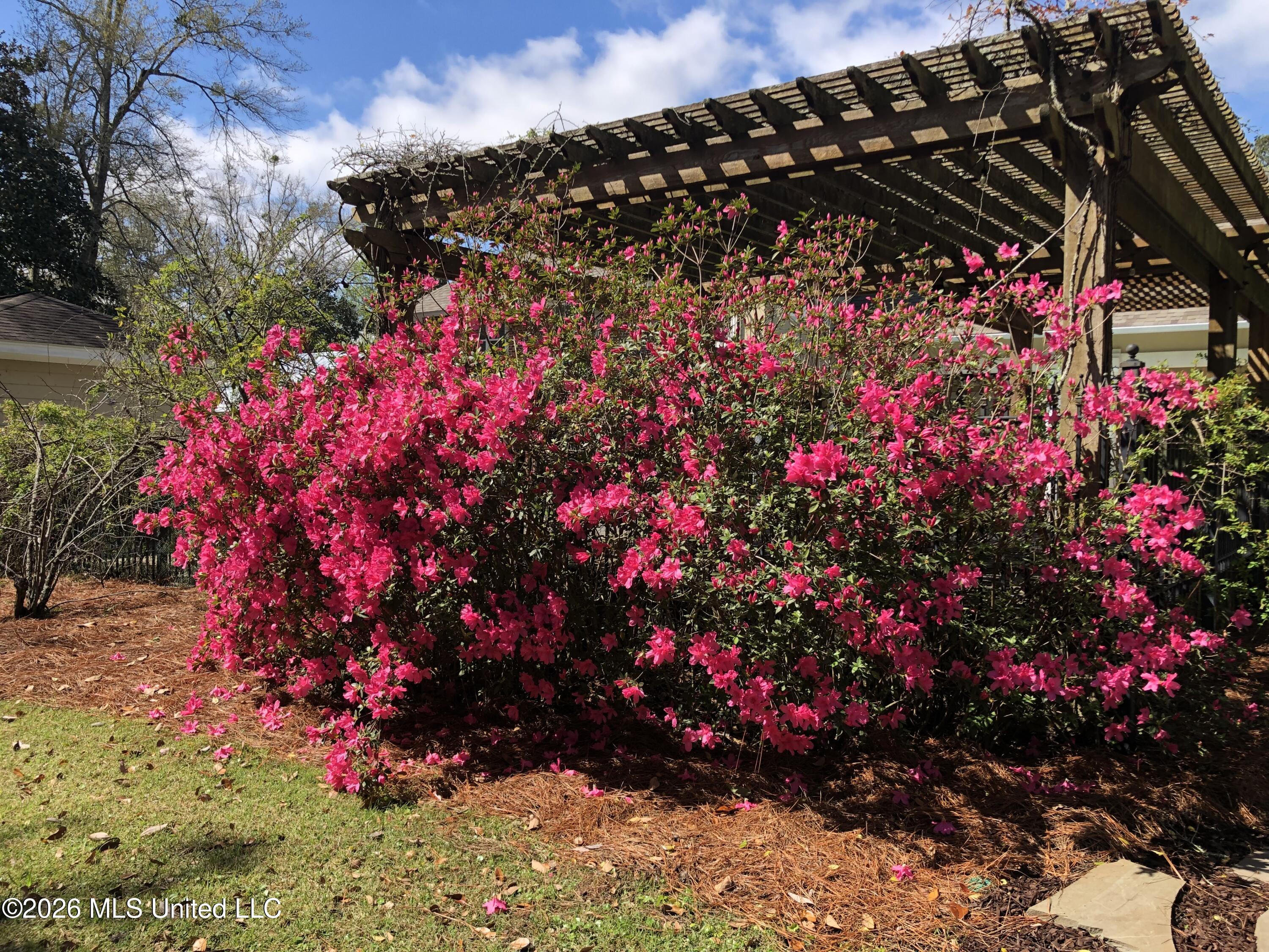 160 Pittman Road Ocean Springs, MS 39564 - Photo 58 of 58 Landscaping