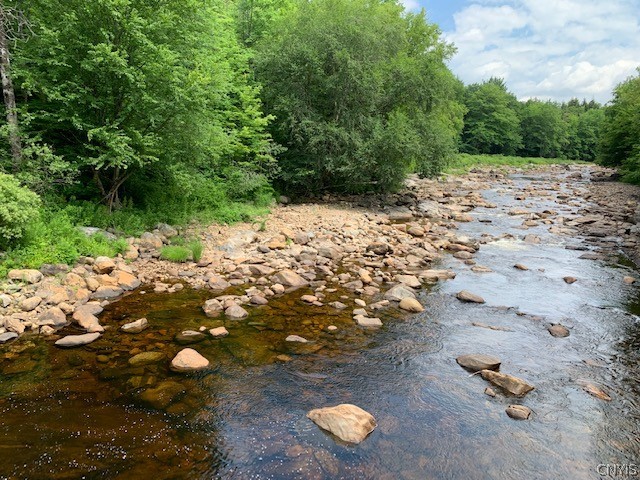 0 Hawes Road Stratford, NY 13470 - Photo 1 of 1 Gallery Image 1