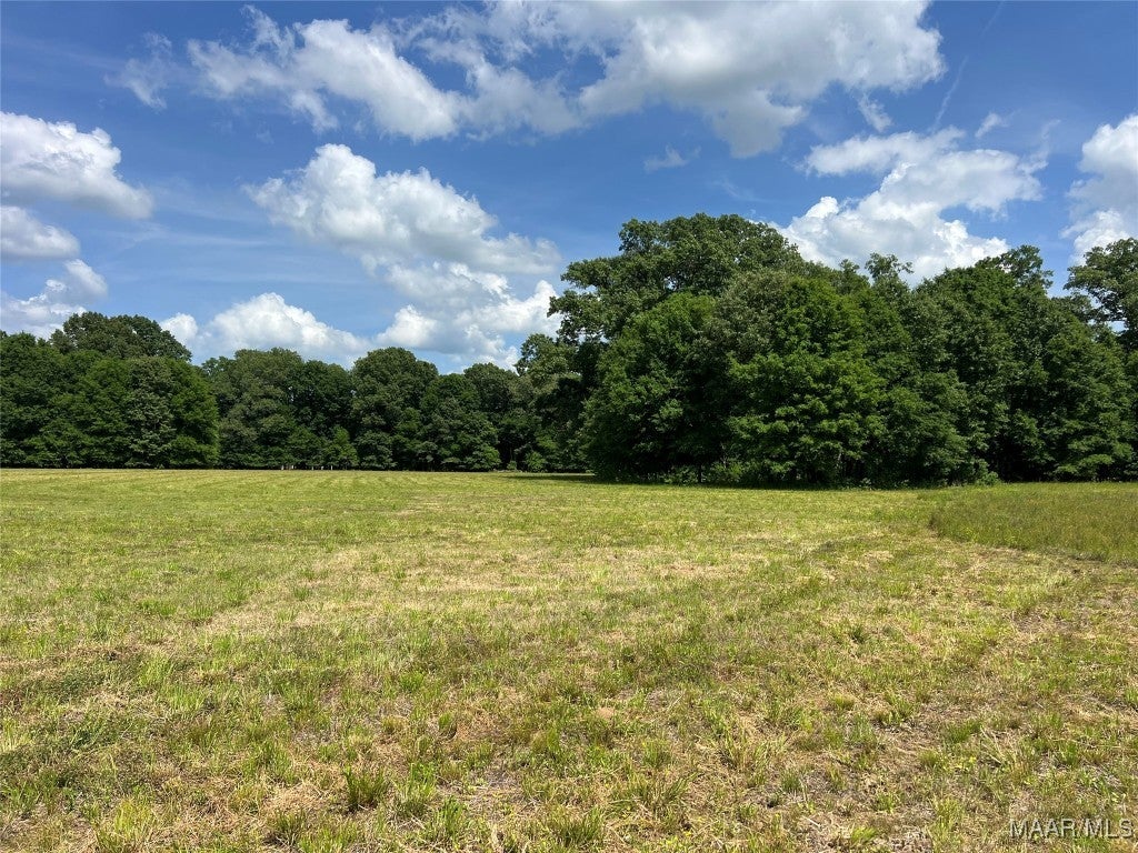 4209 Marler Road Pike Road, AL 36064 - Photo 6 of 7 Gallery Image 6