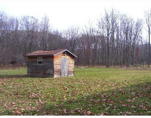 213 Roaring Run Road Champion, PA 15622 - Photo 11 of 18 Land/Lot. Shed is finished inside with electricity.