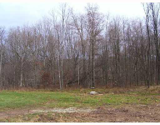 213 Roaring Run Road Champion, PA 15622 - Photo 18 of 18 Land/Lot.
