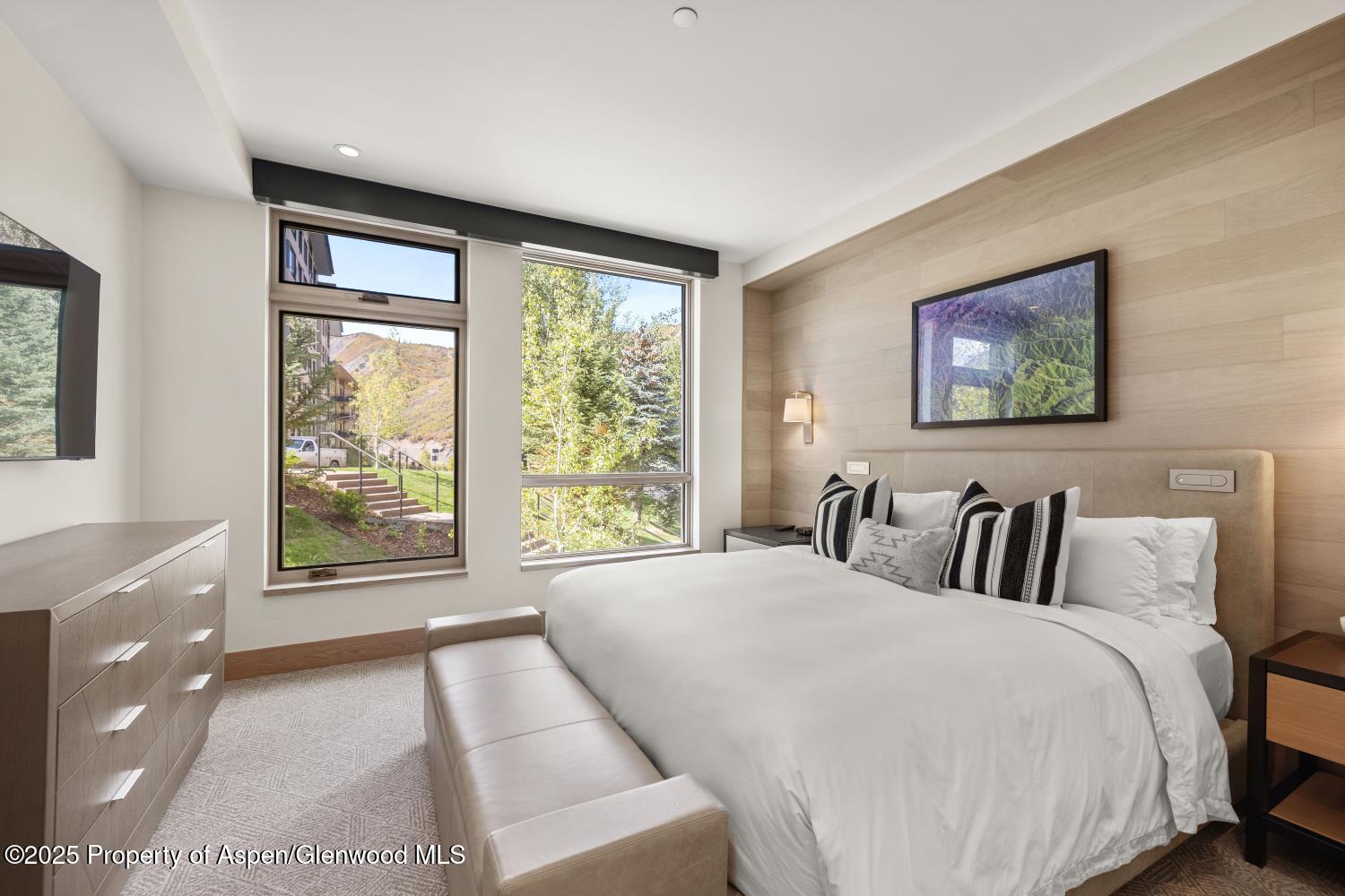 130 Wood Road, Unit 265267 Snowmass Village, CO 81615 - Photo 11 of 48 IMG_0661