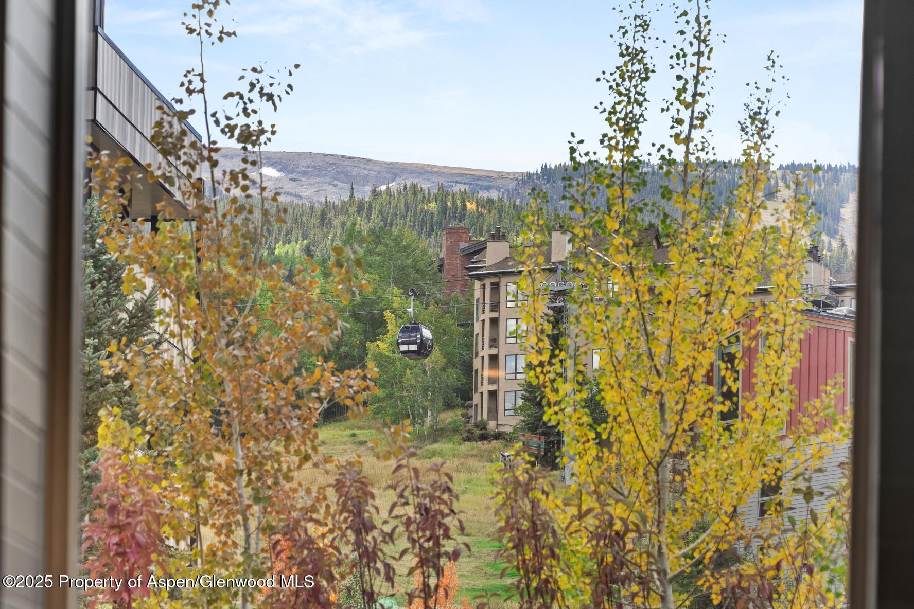 130 Wood Road, Unit 265267 Snowmass Village, CO 81615 - Photo 12 of 48 IMG_0659