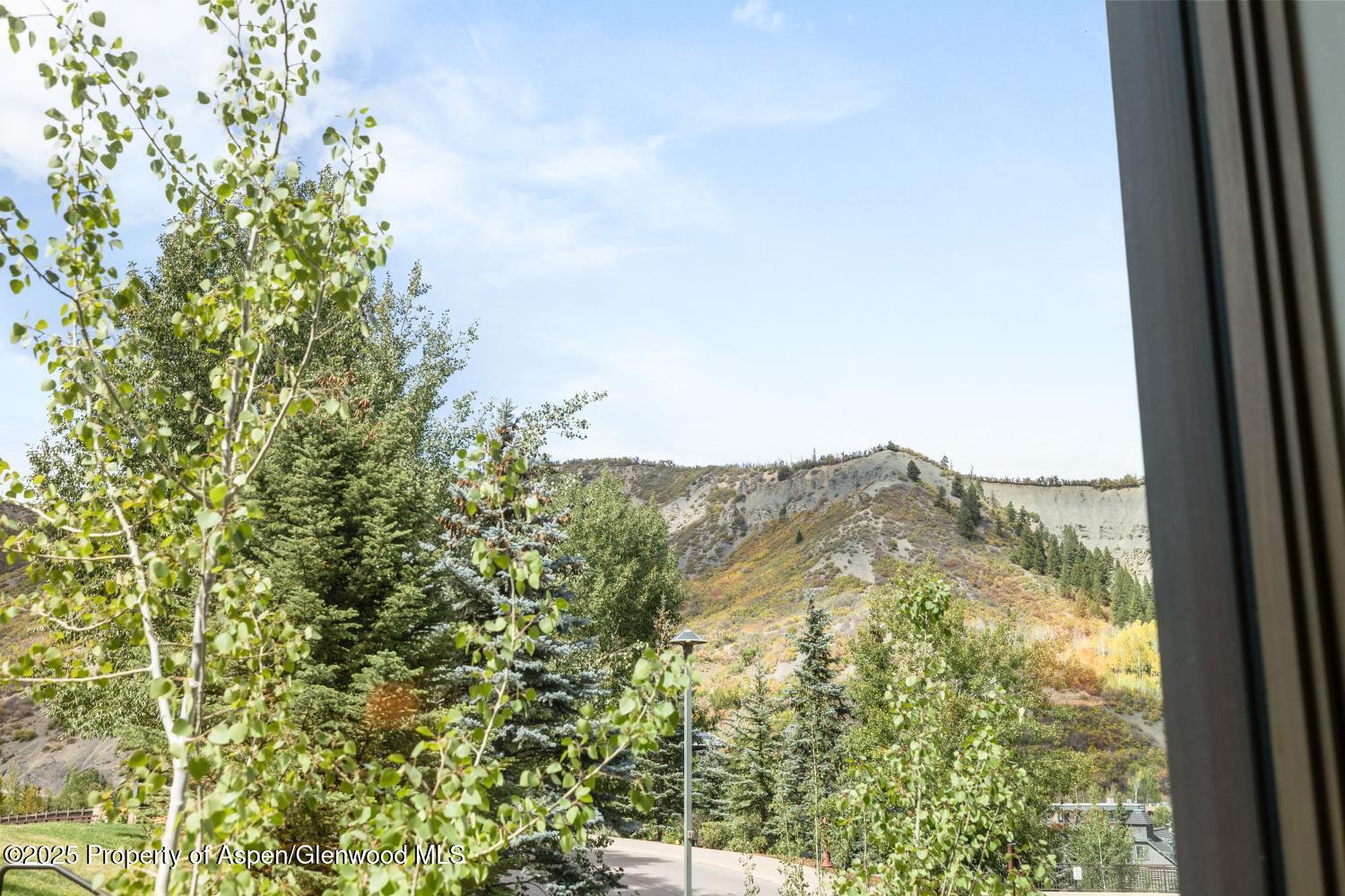 130 Wood Road, Unit 265267 Snowmass Village, CO 81615 - Photo 14 of 48 IMG_0662