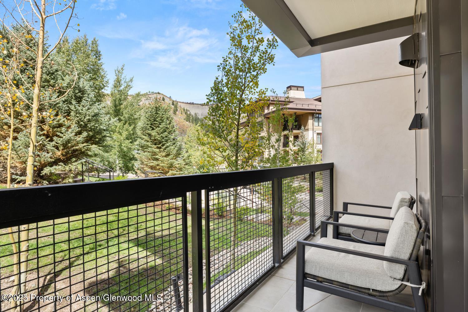 130 Wood Road, Unit 265267 Snowmass Village, CO 81615 - Photo 26 of 48 IMG_0677