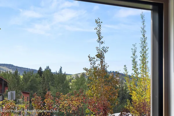 $45,000 | 130 Wood Road, Unit 265267, Snowmass Village, CO 81615