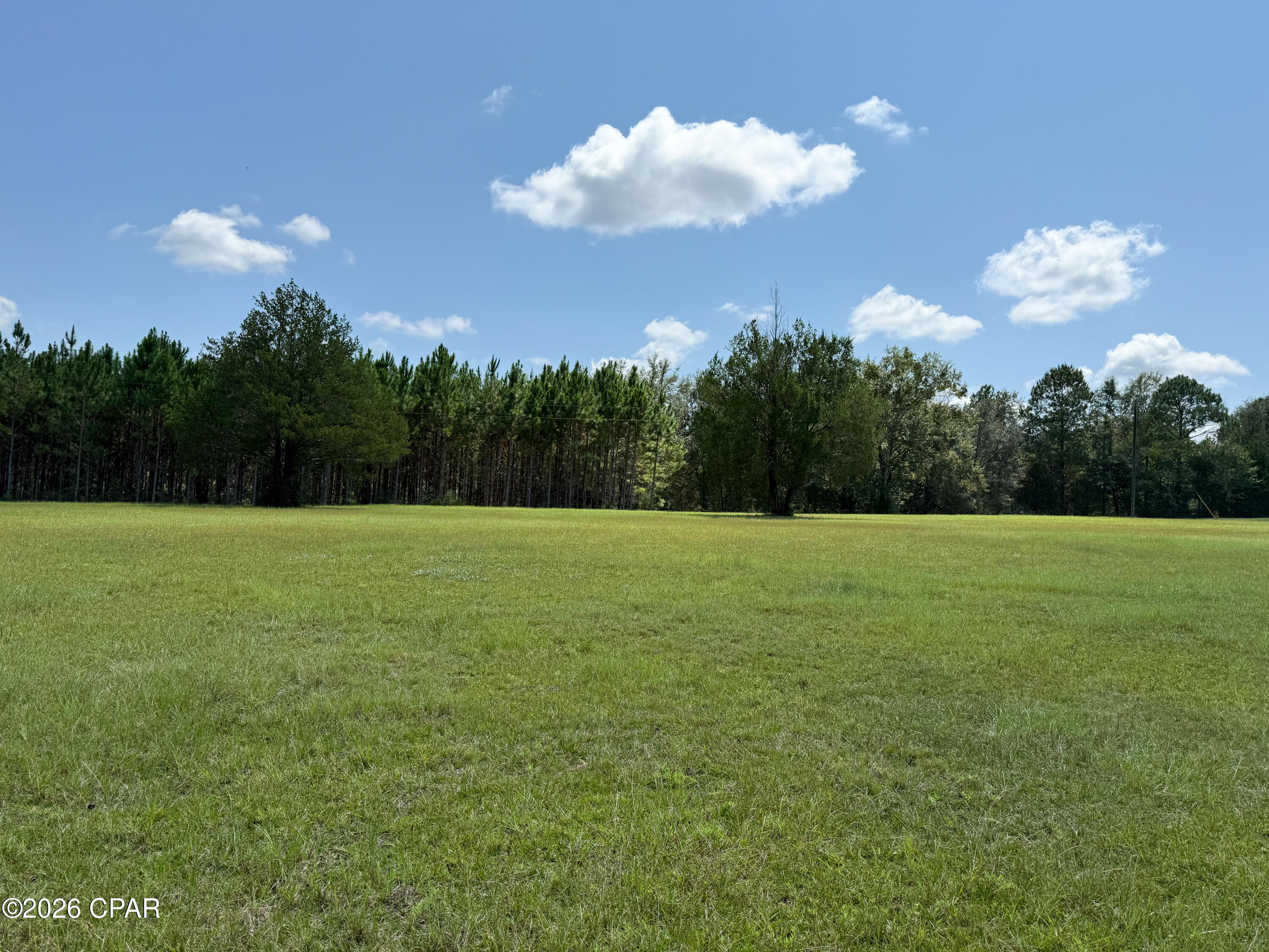 3813 Sand Path Road Bonifay, FL 32425 - Photo 12 of 28 Gallery Image 12