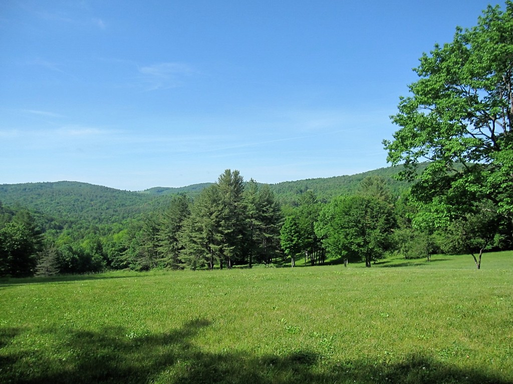 160 George Lamb Road Leyden, MA 01337 - Photo 4 of 30 a view of a lush green space with sea