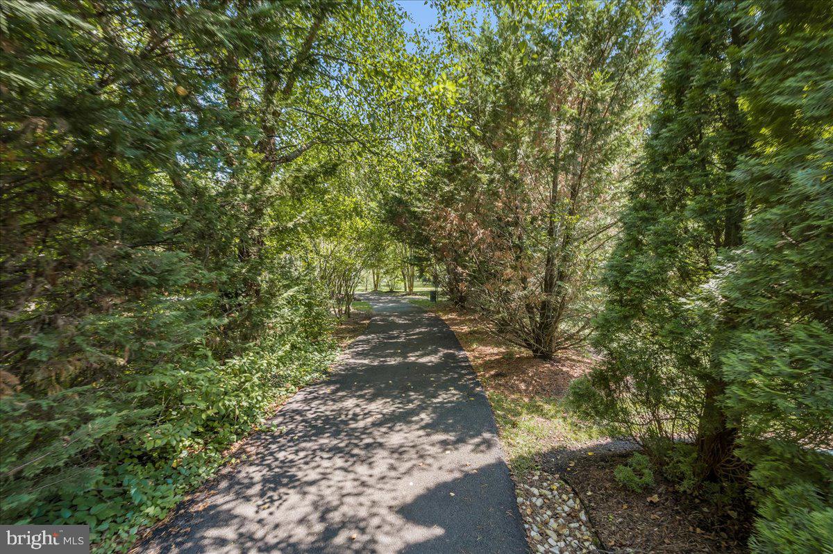 702 Childs Point Road Annapolis, MD 21401 - Photo 95 of 117 Community Walking Trails