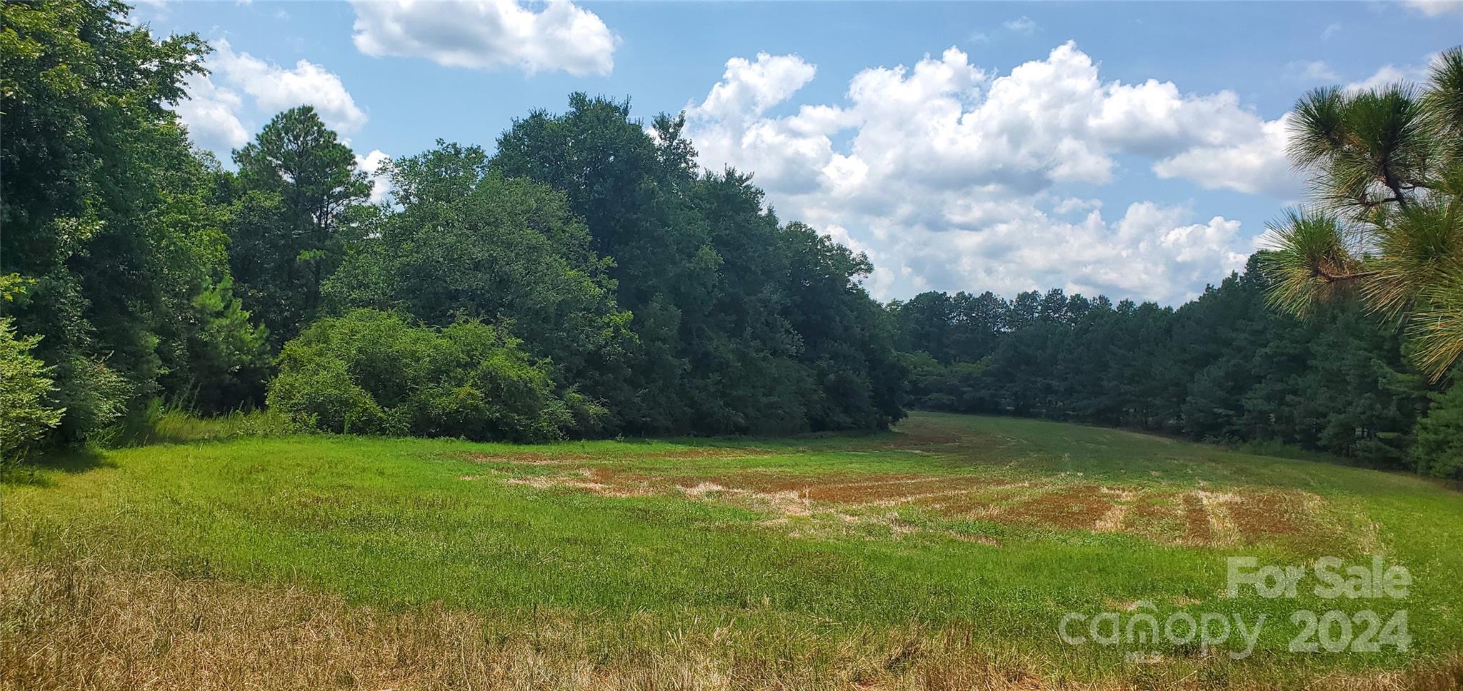 1250 Cole Road Biscoe, NC 27209 - Photo 1 of 17 Gallery Image 1