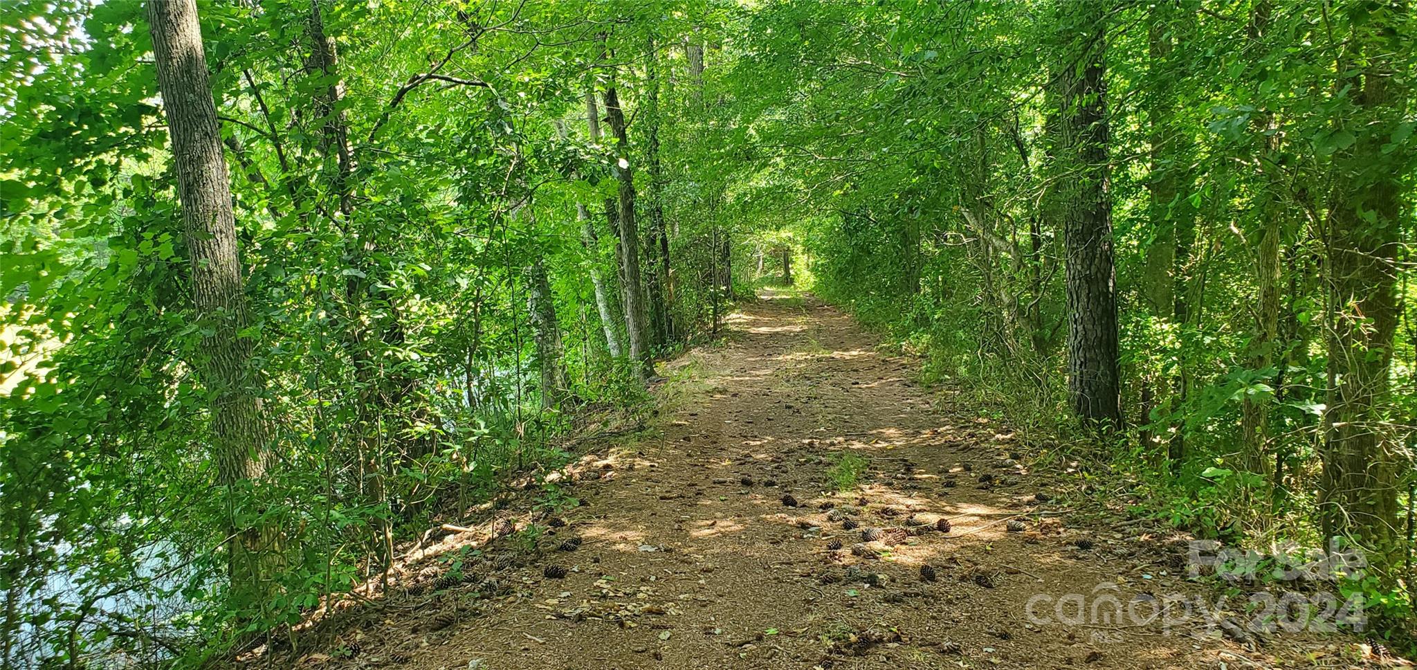 1250 Cole Road Biscoe, NC 27209 - Photo 11 of 17 Gallery Image 11