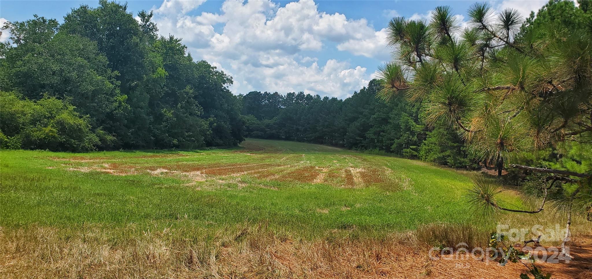 1250 Cole Road Biscoe, NC 27209 - Photo 12 of 17 Gallery Image 12
