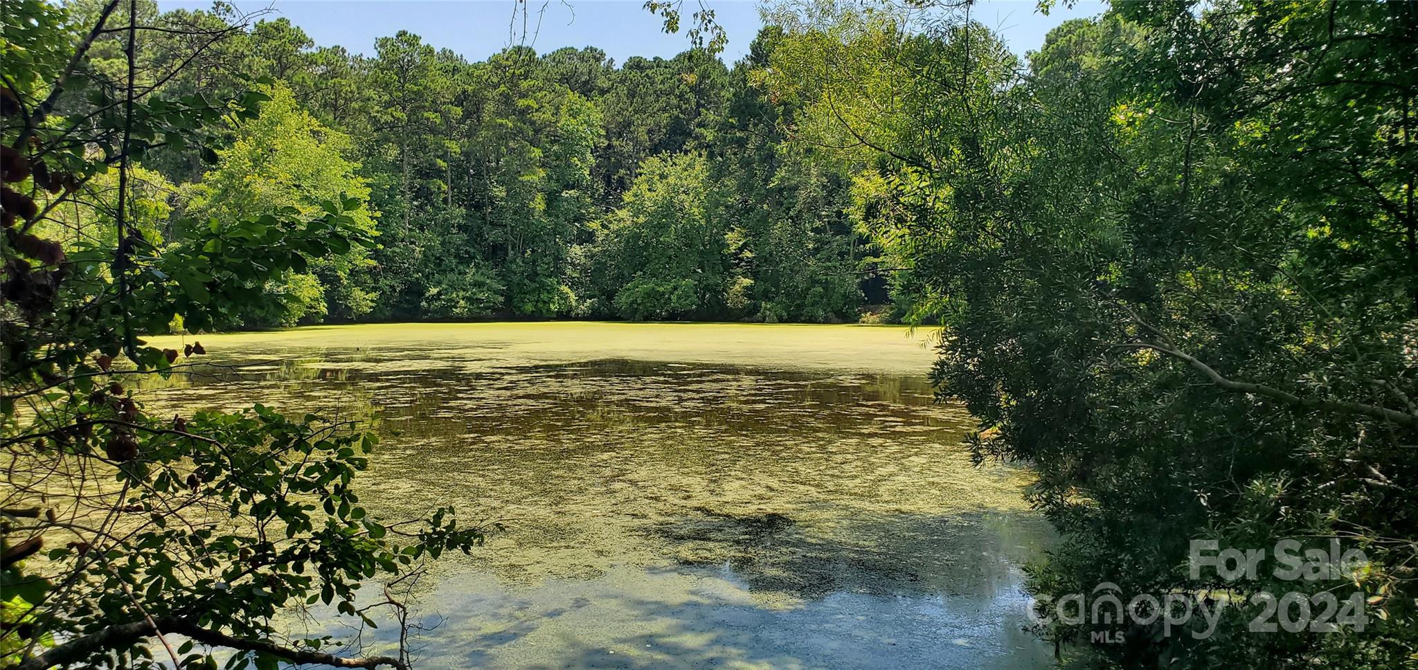 1250 Cole Road Biscoe, NC 27209 - Photo 3 of 17 Gallery Image 3