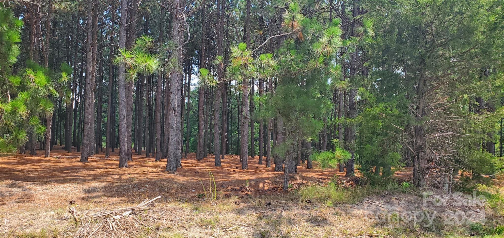 1250 Cole Road Biscoe, NC 27209 - Photo 6 of 17 Gallery Image 6
