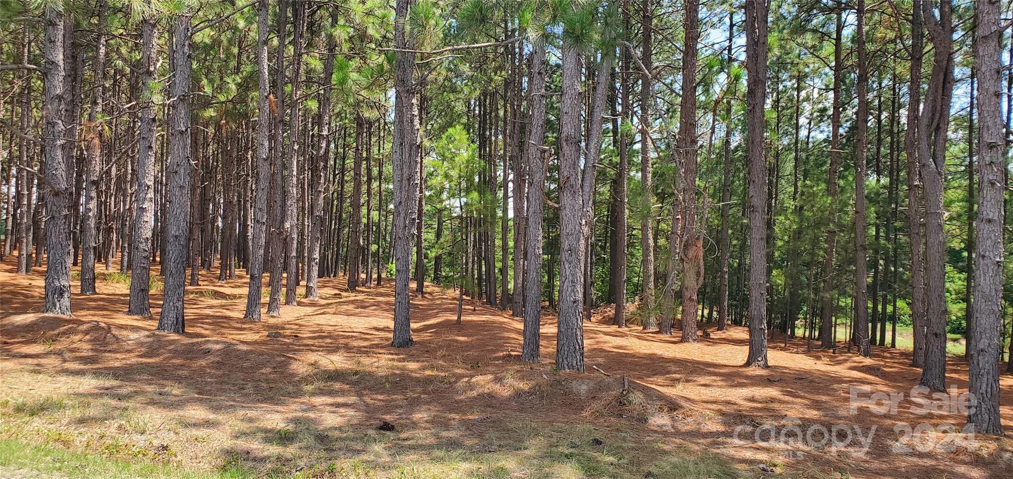 1250 Cole Road Biscoe, NC 27209 - Photo 7 of 17 Gallery Image 7