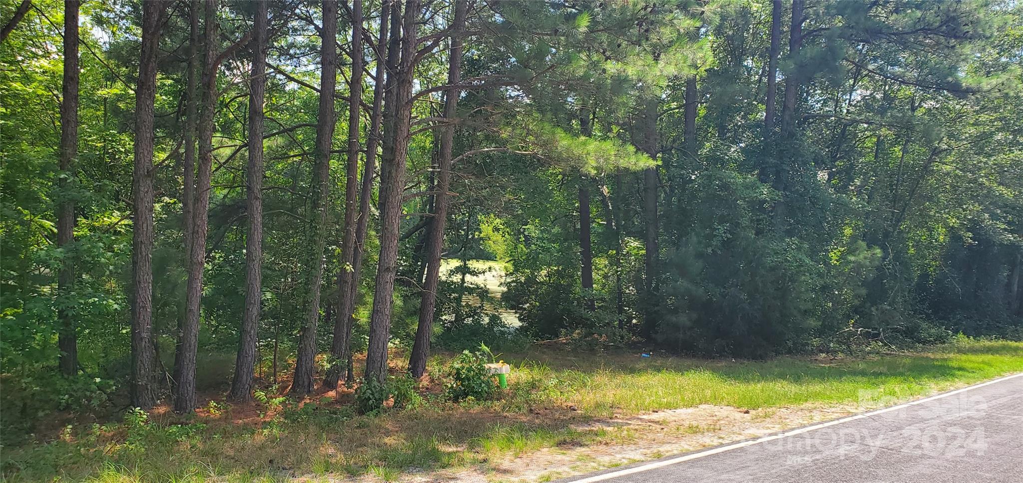 1250 Cole Road Biscoe, NC 27209 - Photo 8 of 17 Gallery Image 8