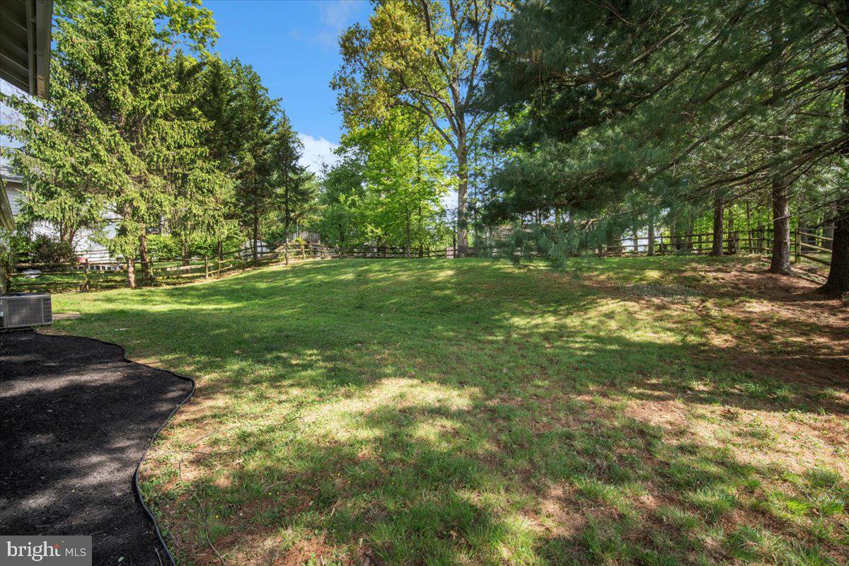 3912 Gelding Lane Olney, MD 20832 - Photo 34 of 62 a view of a trees with a yard
