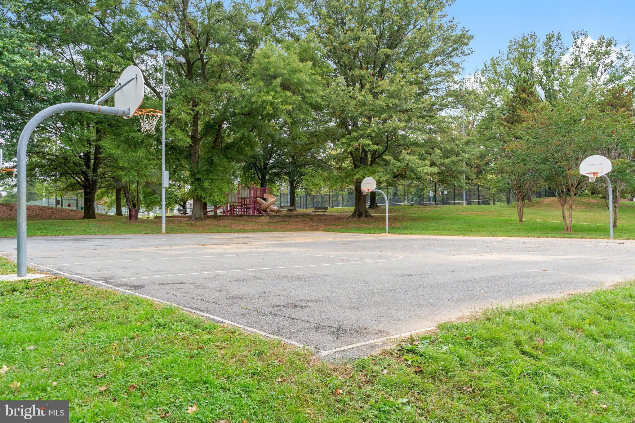3912 Gelding Lane Olney, MD 20832 - Photo 50 of 62 a view of a park with large trees