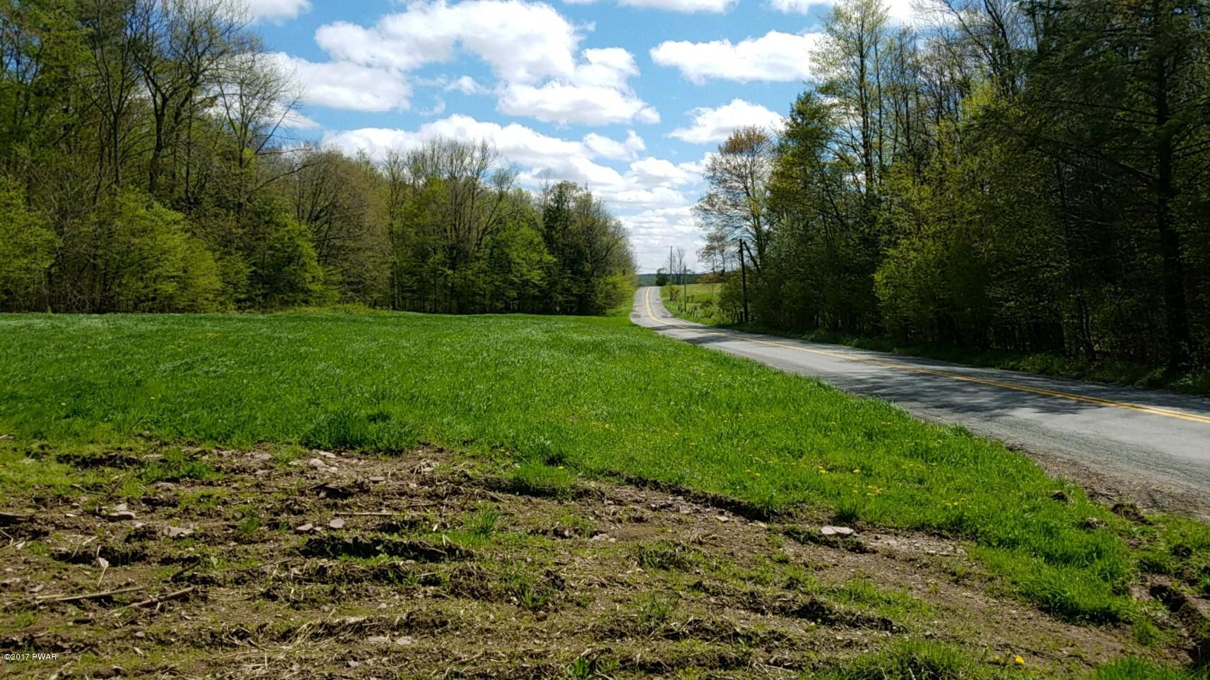 376 Wescott Road Tyler Hill, PA 18469 - Photo 3 of 8