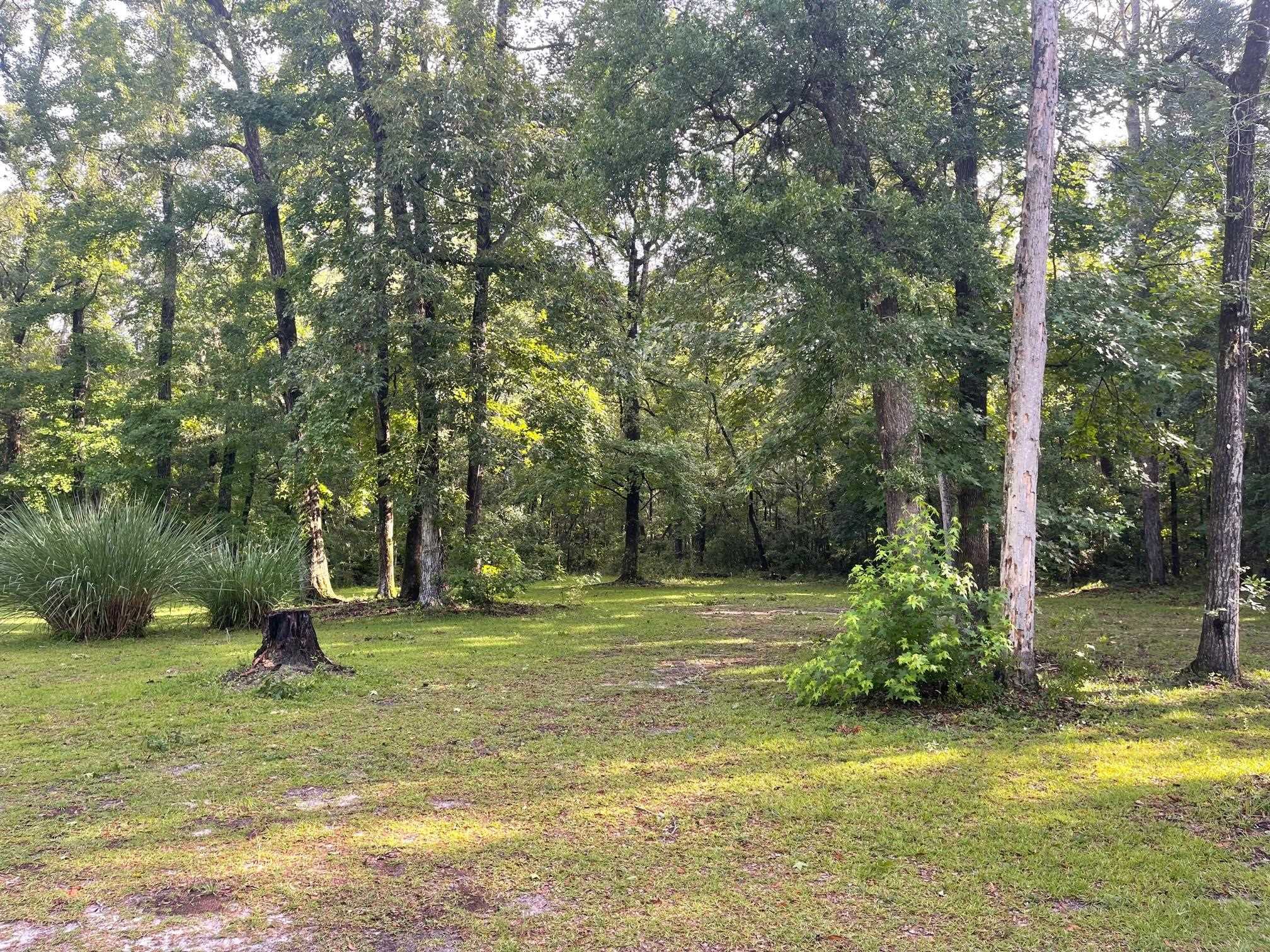 984 Sora Road Tallahassee, FL 32305 - Photo 15 of 15