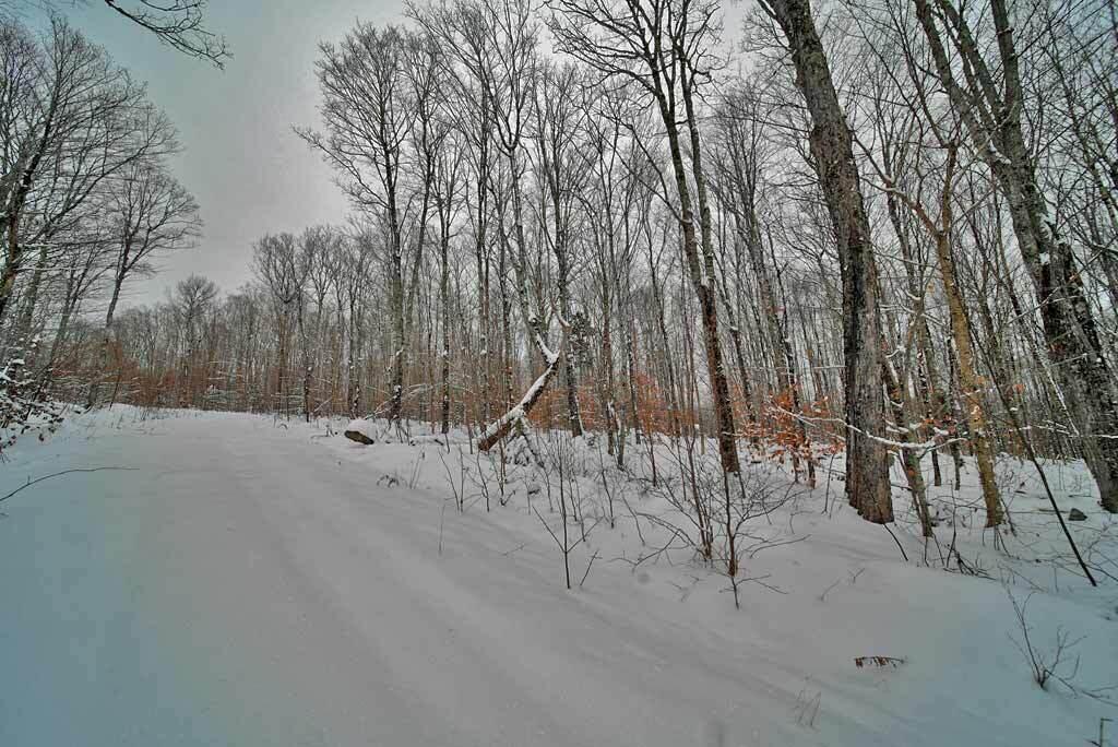Lot 14 Mountain Road Houlton, ME 04730 - Photo 23 of 75 road-off-grid-remote-log-ca