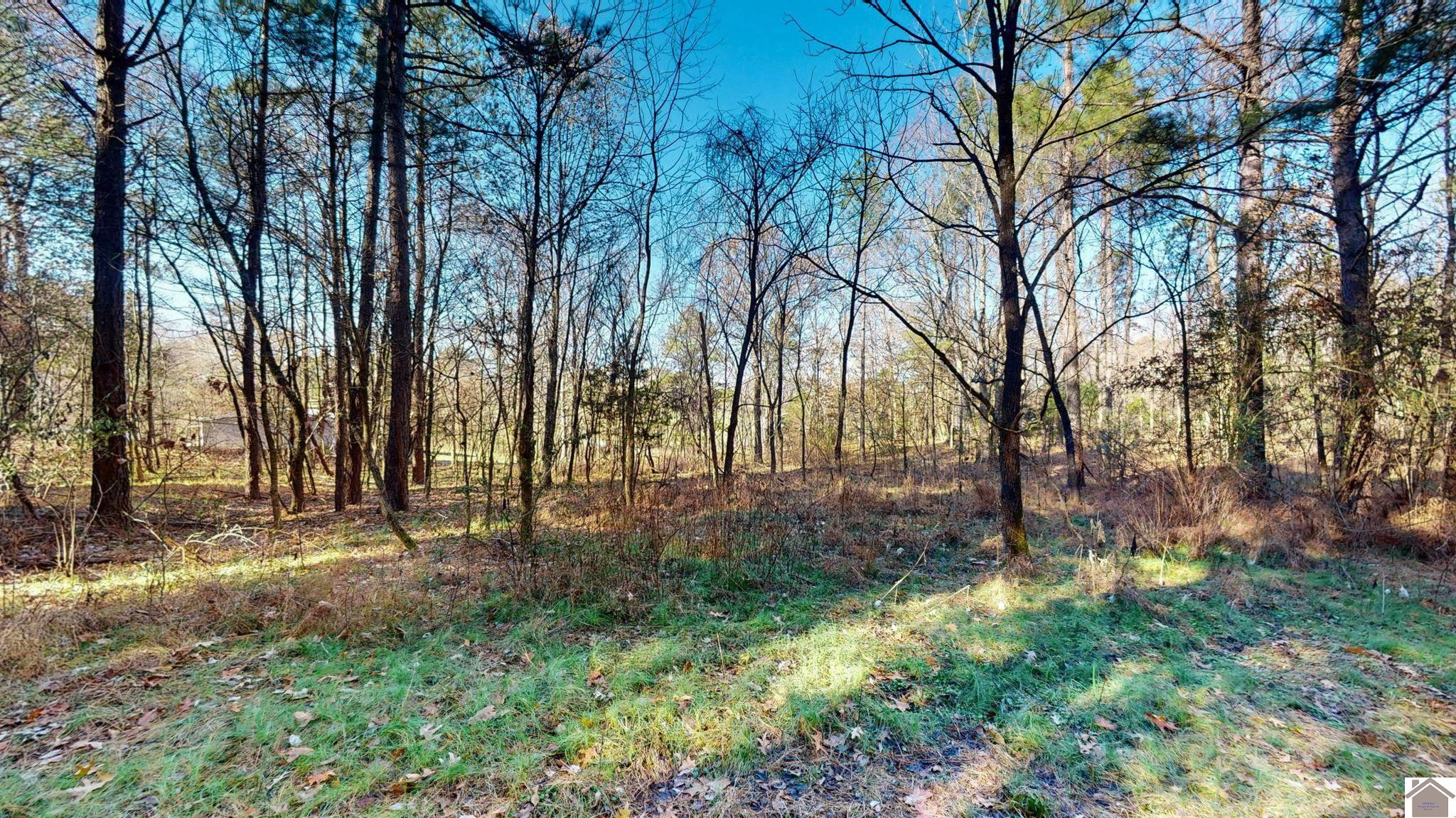 Protemus Road Murray, KY 42071 - Photo 13 of 15 Photo 13