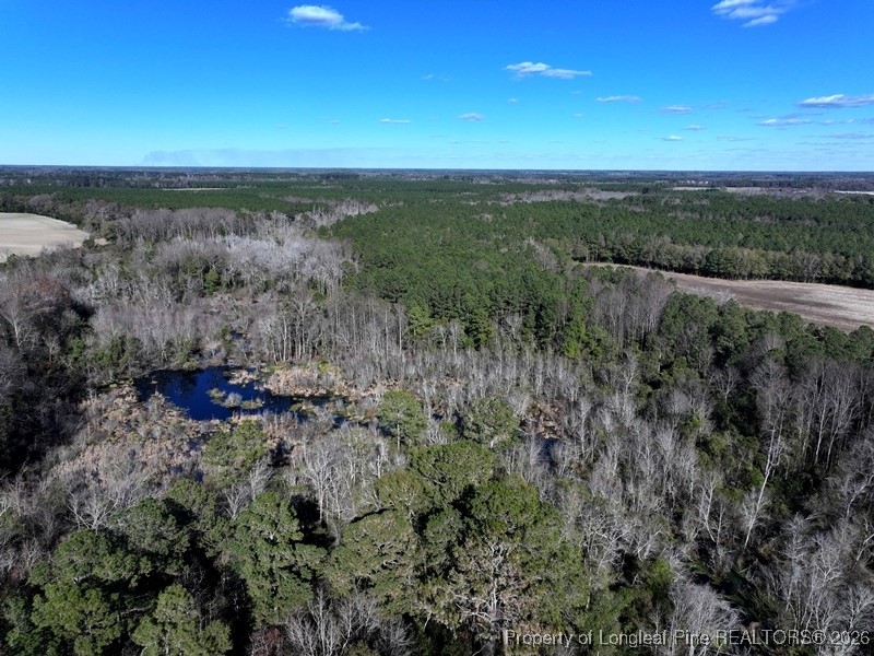Tbd Tbd Stuarts Mill Road Rowland, NC 28383 - Photo 3 of 9