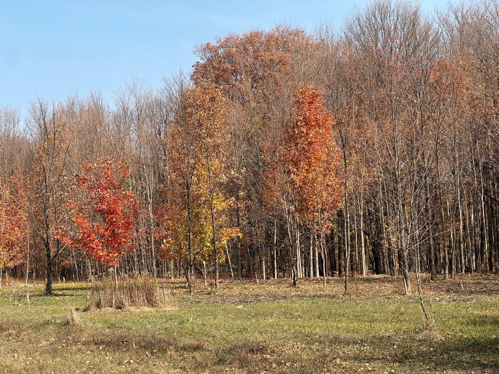4461 Powell Road Kewadin, MI 49648 - Photo 13 of 18 Gallery Image 13