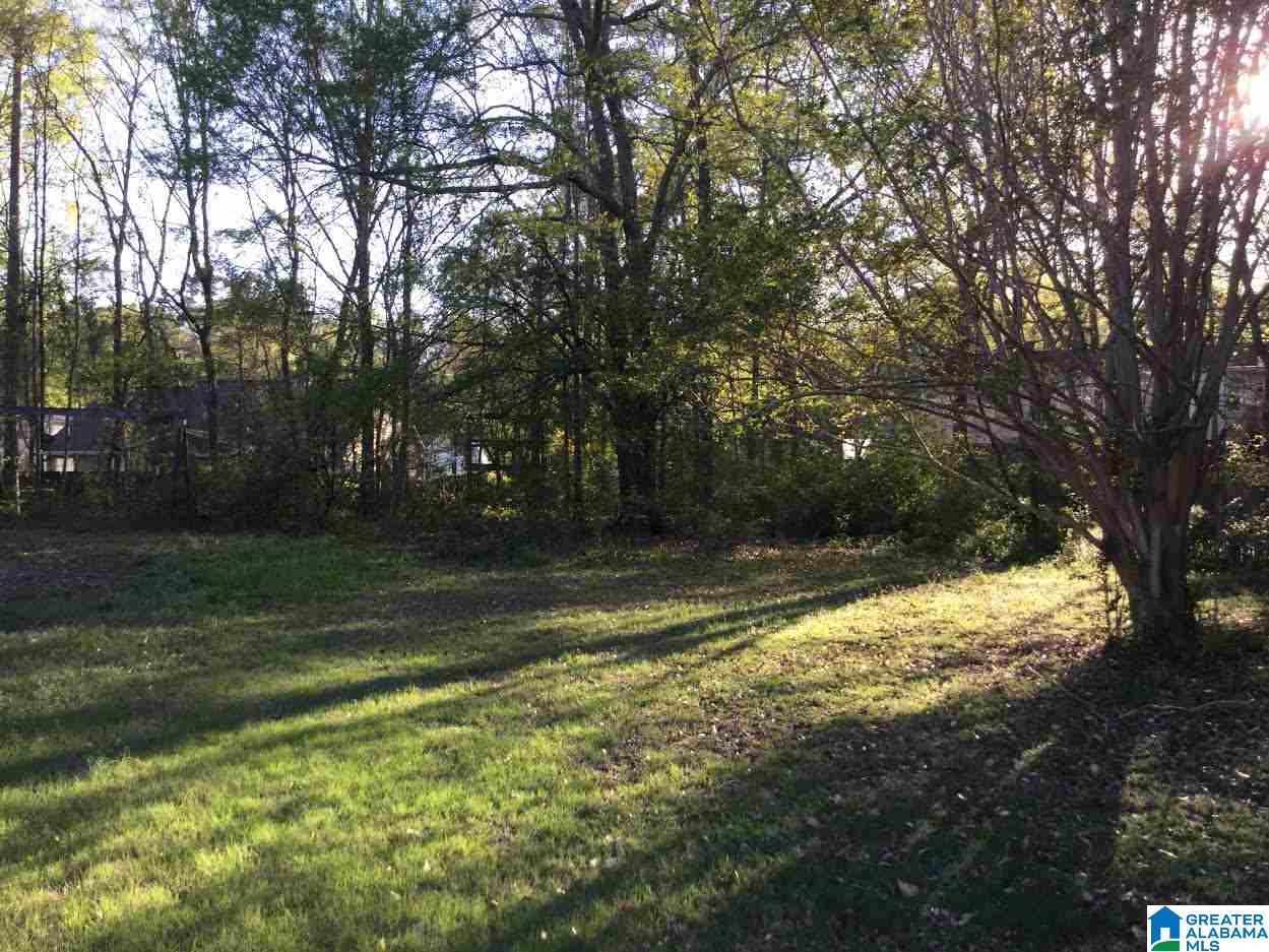 209 Cloverleaf Circle Helena, AL 35080 - Photo 3 of 23