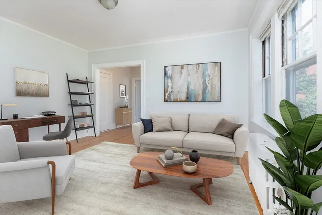 a living room with furniture and a potted plant