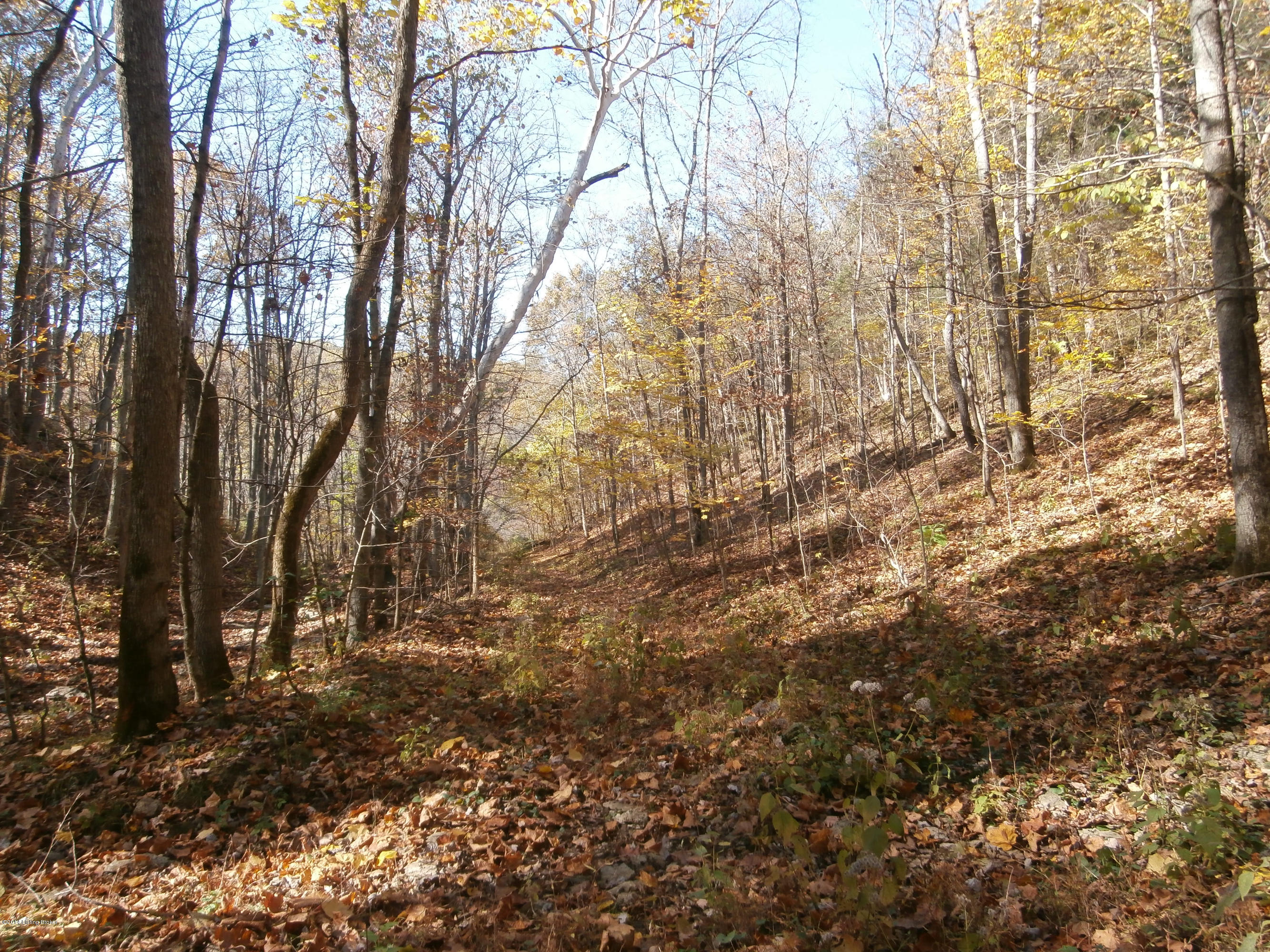The road that's to the ridge land.