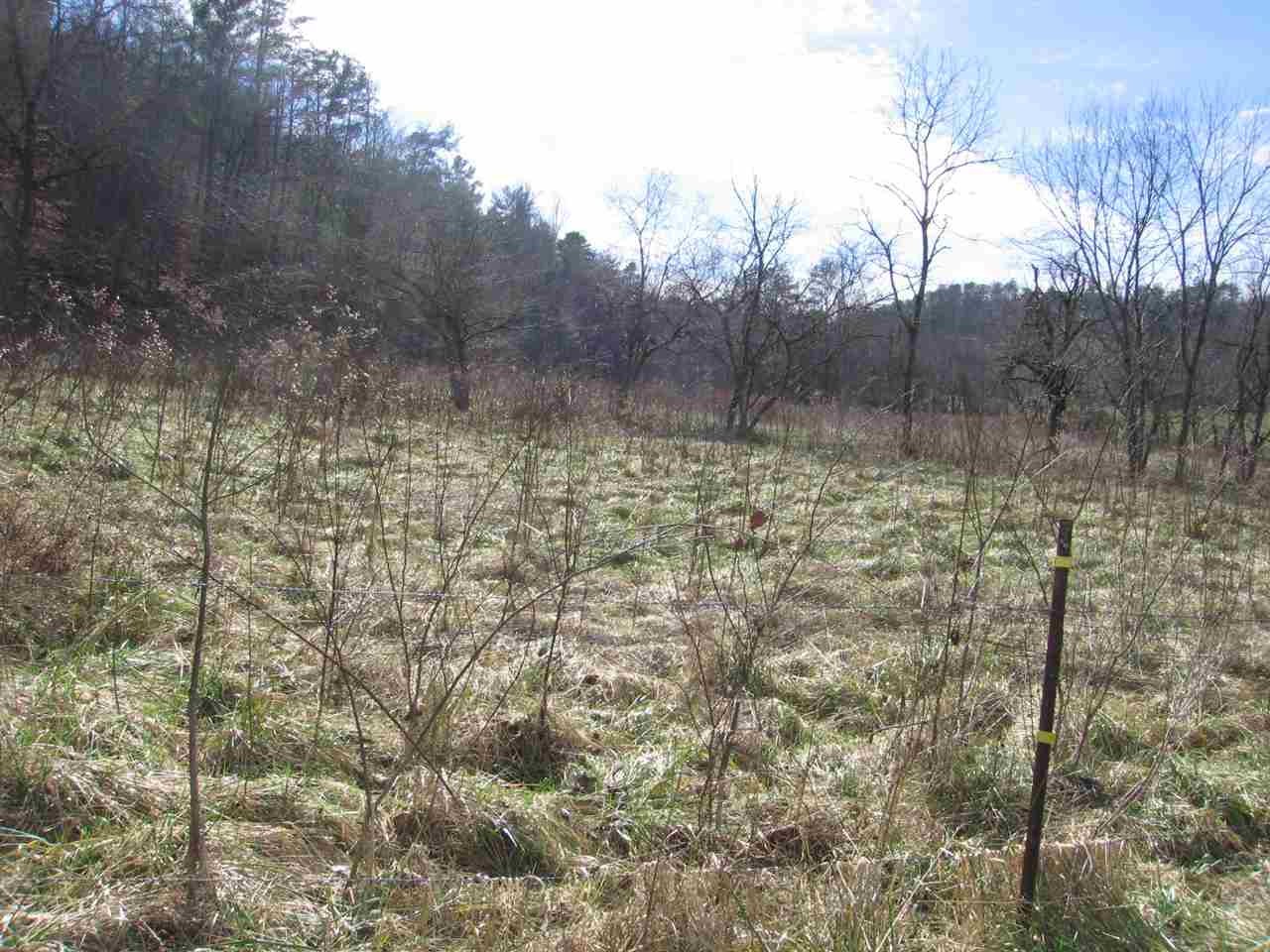 0 Towee Pike Reliance, TN 37369 - Photo 6 of 41