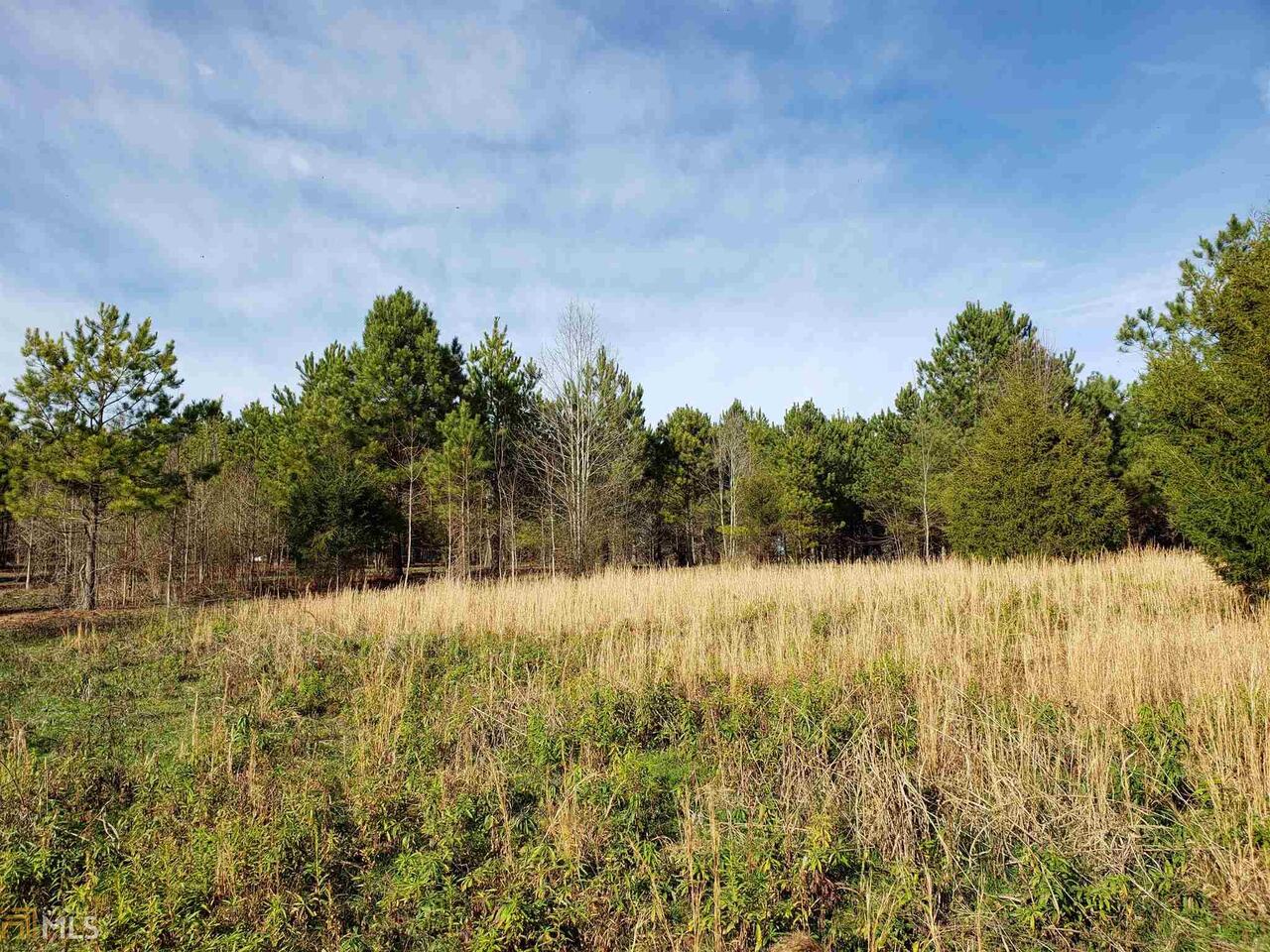 1150 Needmore Road, Unit 37 26 ACRES Roopville, GA 30170 - Photo 1 of 1 Gallery Image 1