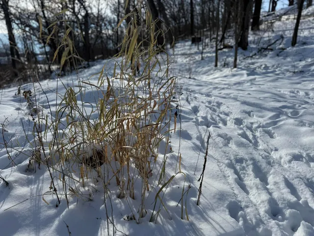 $435,000 | 225 Whitetail Way, Unit 28, Deerfield, WI 53531