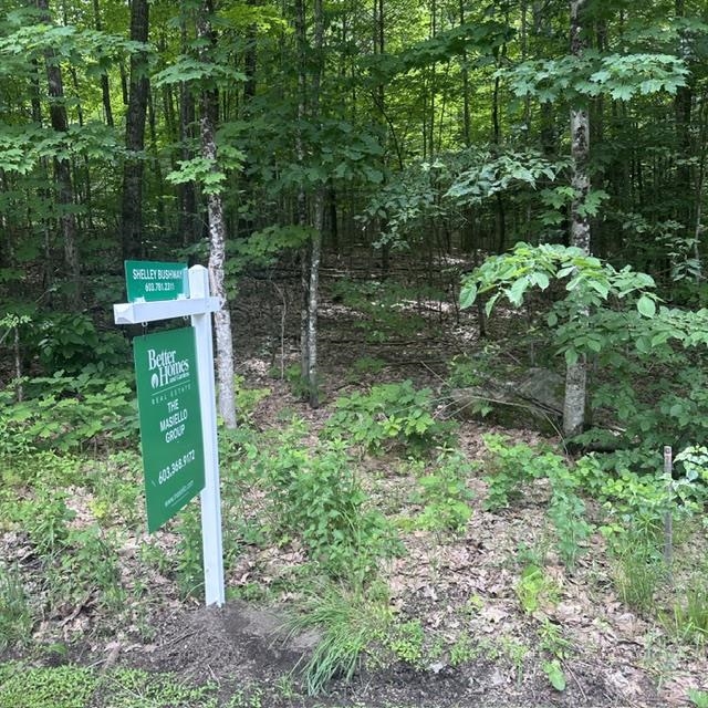 44.1 Lovell Lake Road Sanbornville, NH 03872 - Photo 2 of 13
