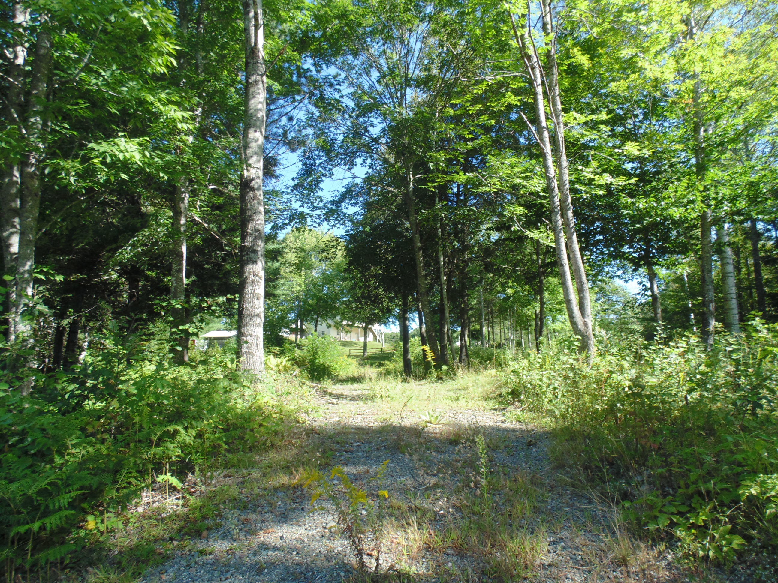 537 Airline Road Amherst, ME 04605 - Photo 49 of 57 DSC05775
