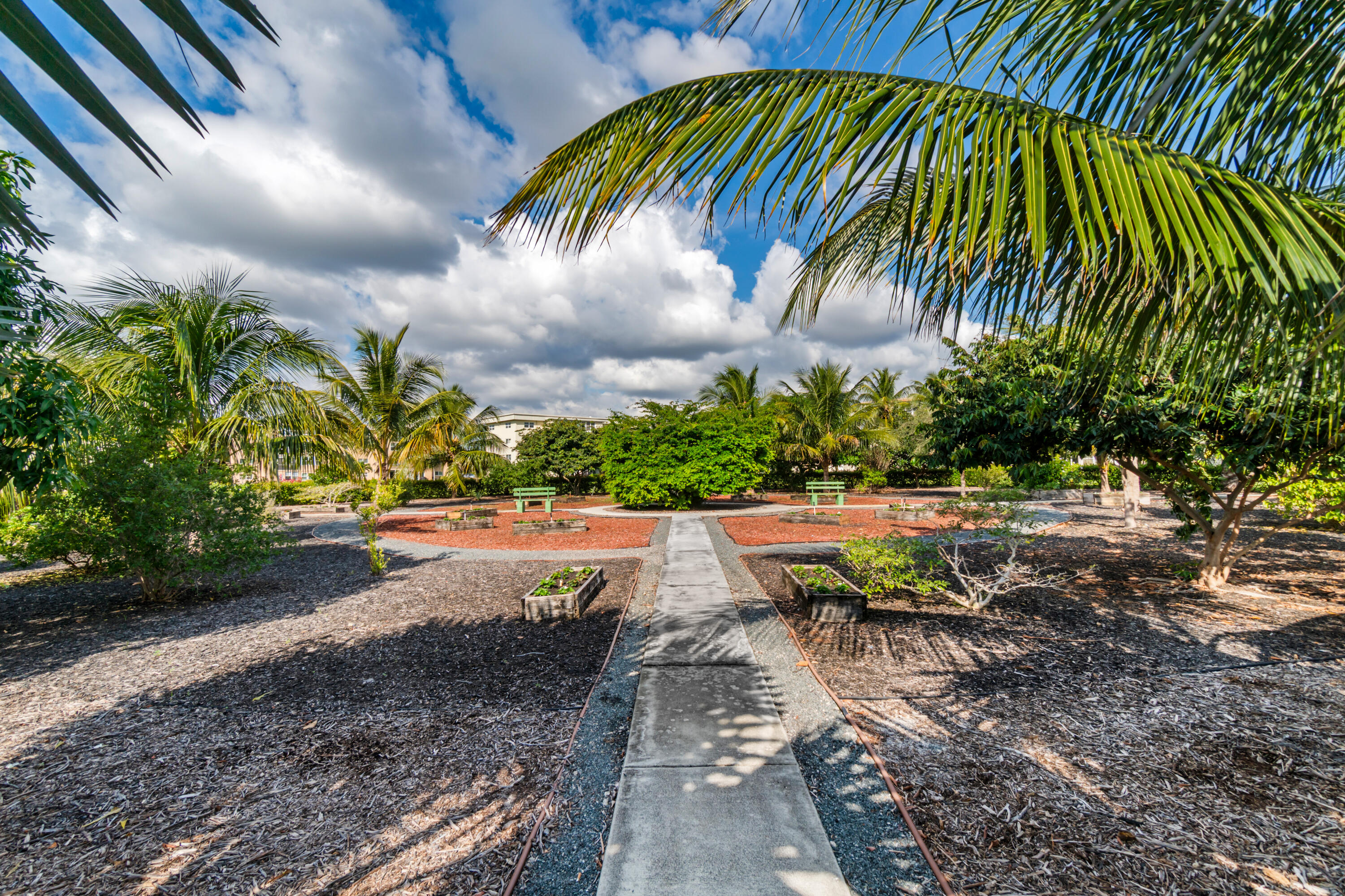 2615 Northeast 1st Court, Unit 303 Boynton Beach, FL 33435 - Photo 8 of 42 a view of a yard with plants