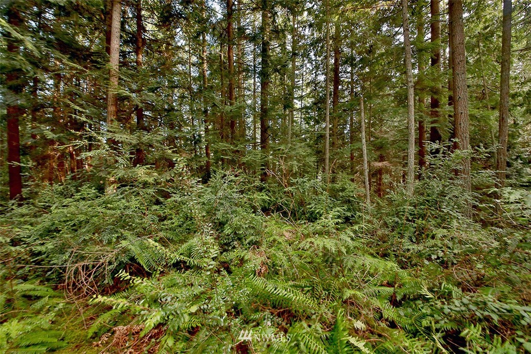 5926 Bob Galbreath Road Clinton, WA 98236 - Photo 7 of 26 Gallery Image 7