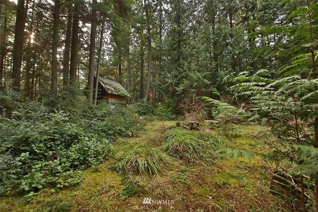 5926 Bob Galbreath Road Clinton, WA 98236 - Photo 8 of 26 Gallery Image 8