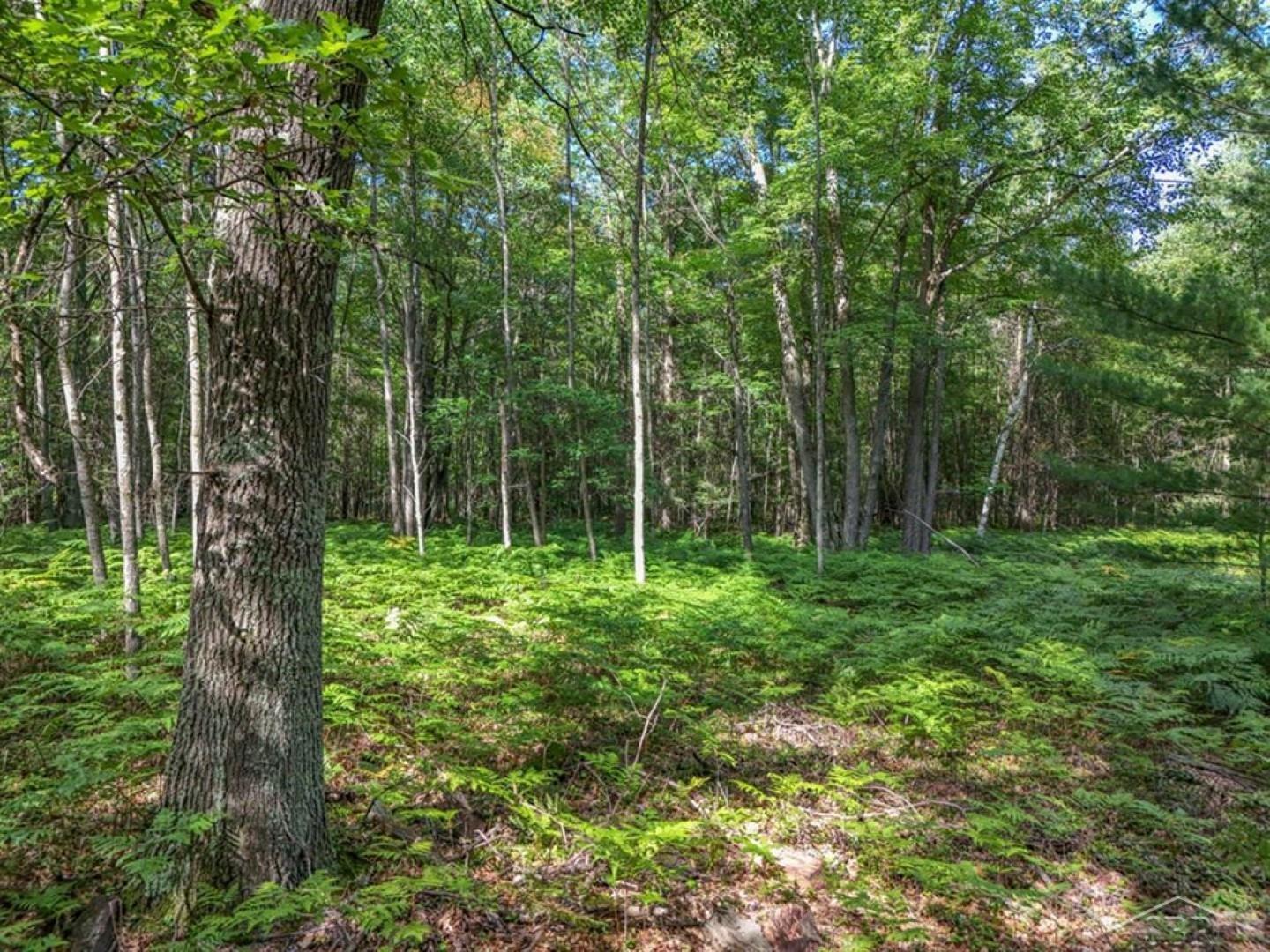457 East Mier Road Midland, MI 48642 - Photo 50 of 53