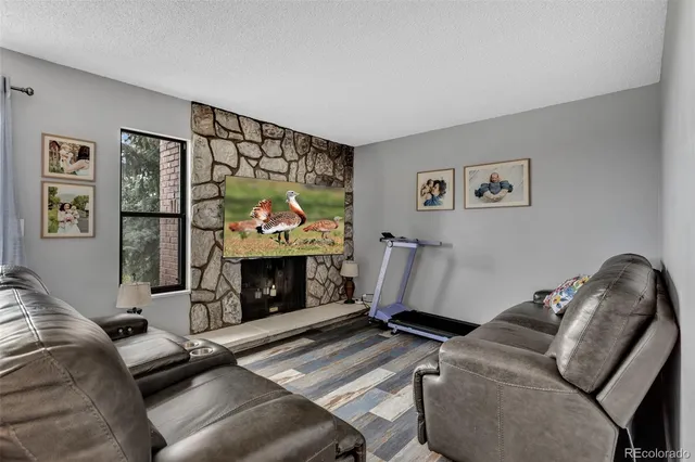 a living room with furniture and a couch