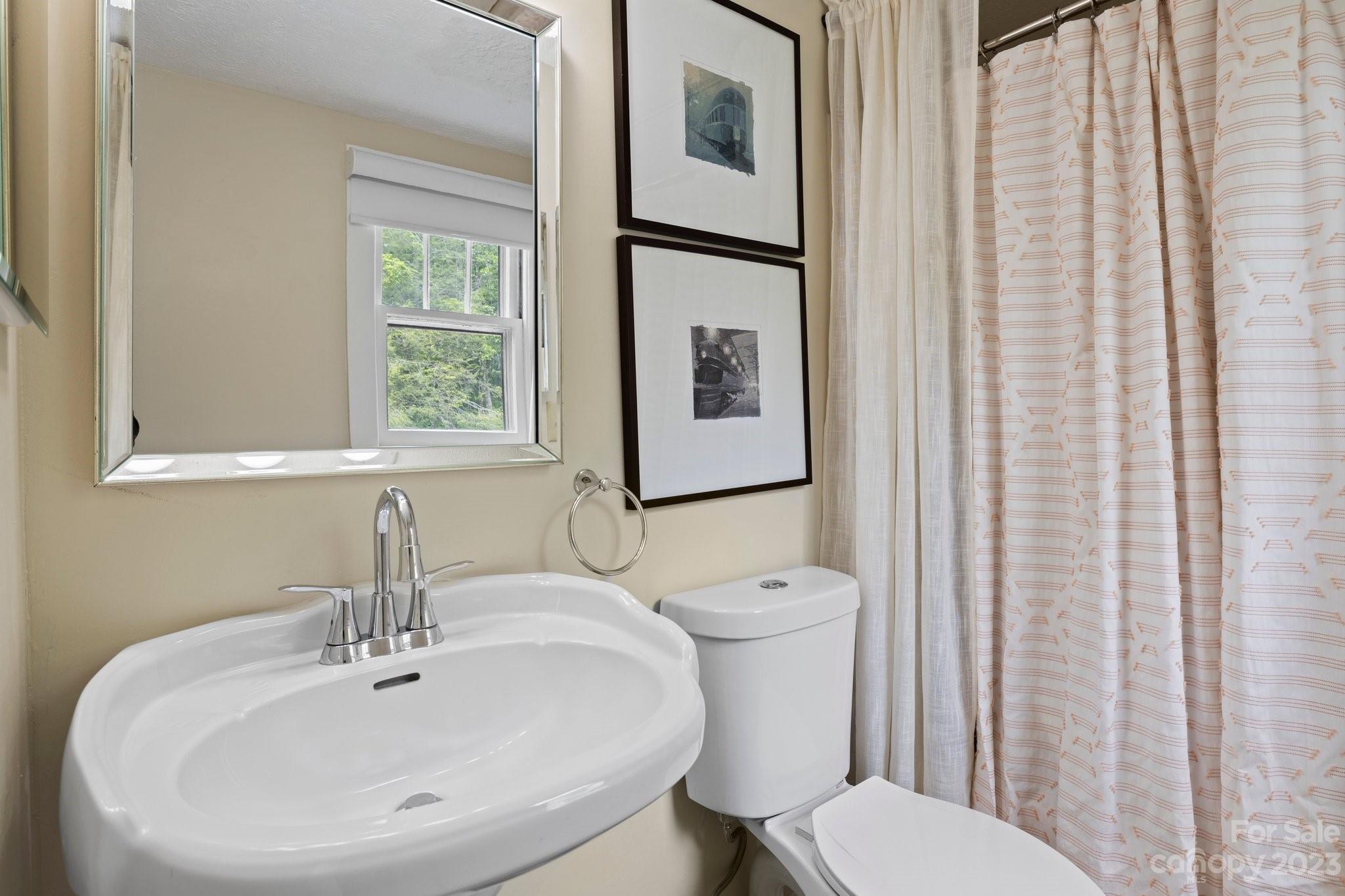 1545 Brevard Road Asheville, NC 28806 - Photo 37 of 43 a bathroom with a toilet a sink and a mirror