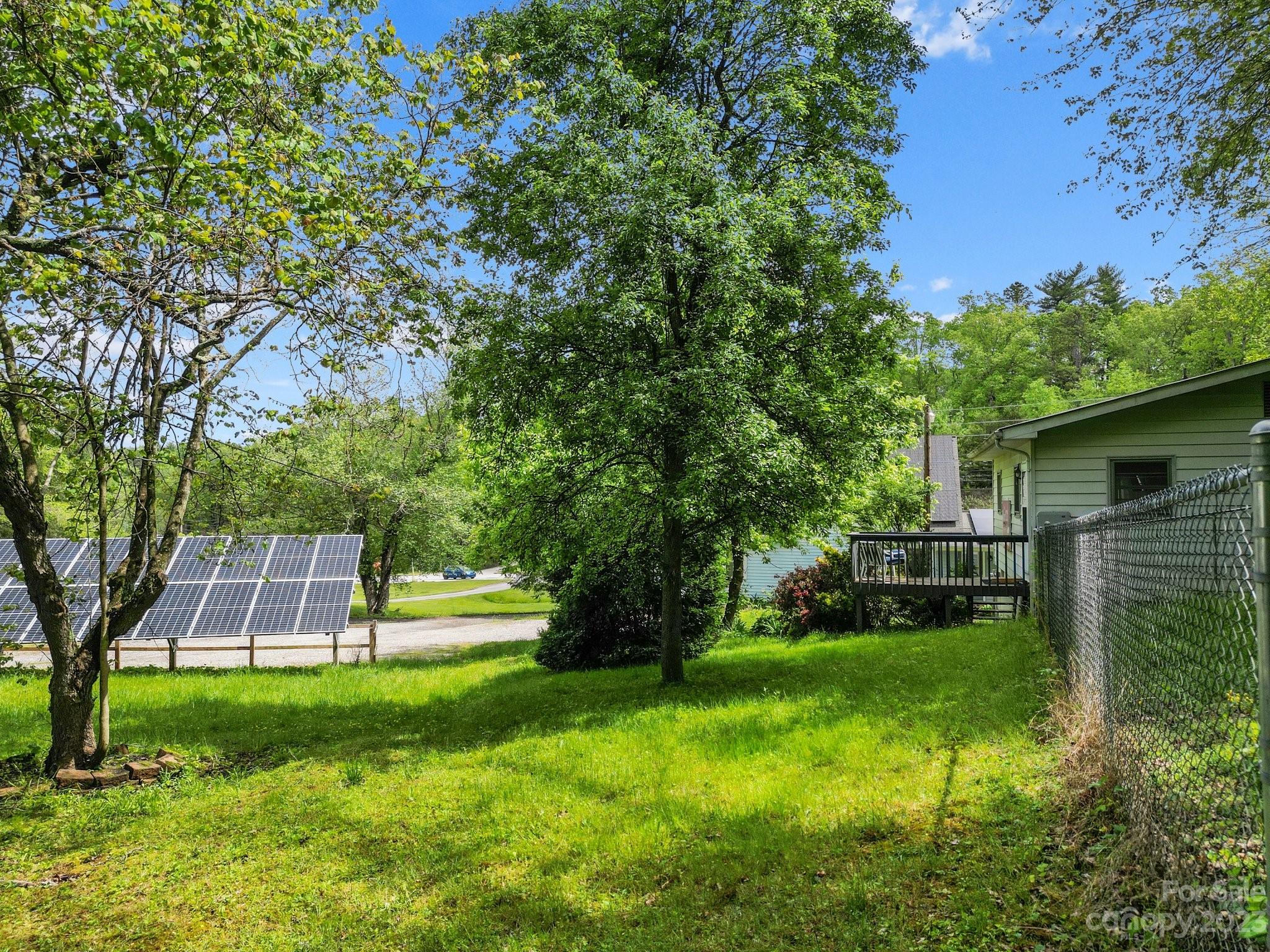 1545 Brevard Road Asheville, NC 28806 - Photo 6 of 43 a view of yard with grass and a trees