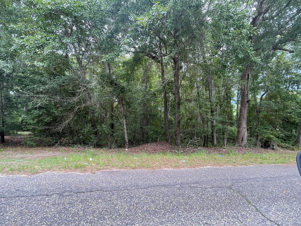 3885 Ramsey Road Sumter, SC 29154 - Photo 21 of 25 Gallery Image 21