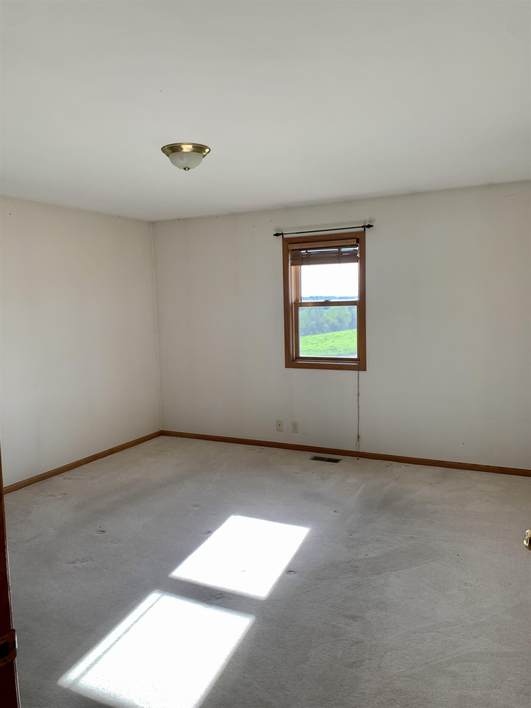 8755 South Massbach Road Elizabeth, IL 61028 - Photo 15 of 37 Gallery Image 15