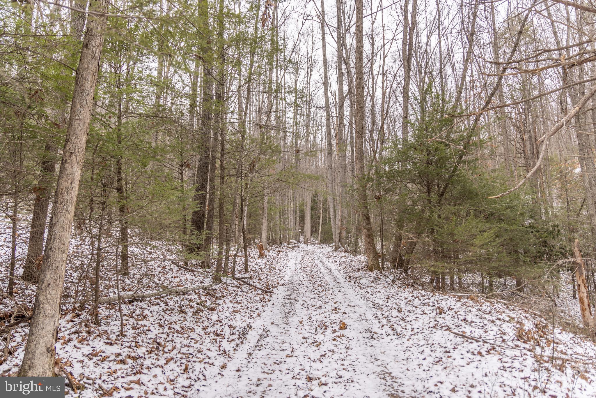 0 Dunkard Church Road Lindside, WV 24951 - Photo 4 of 30
