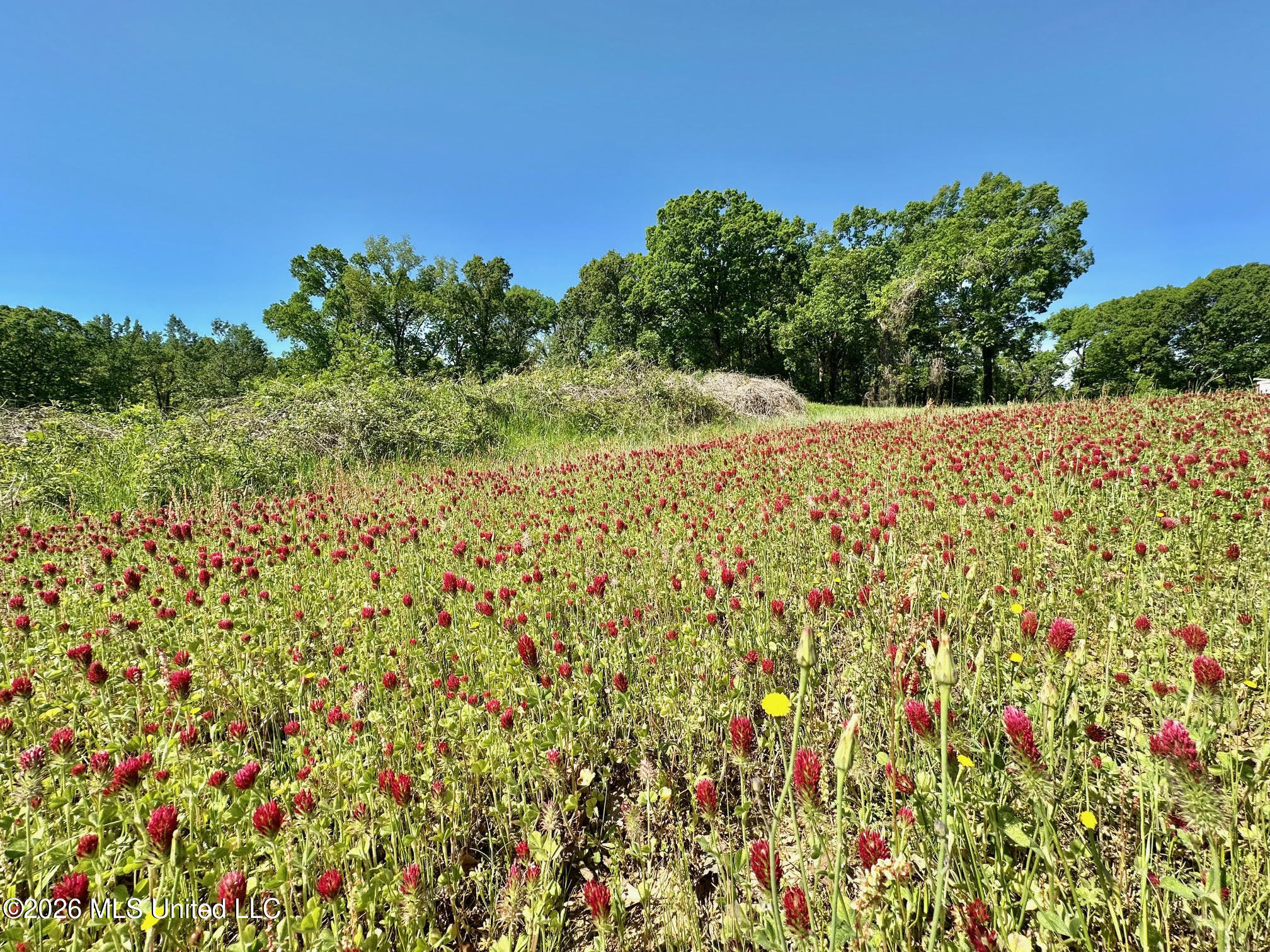 0 Malmaison Road Carrollton, MS 38917 - Photo 11 of 20 11